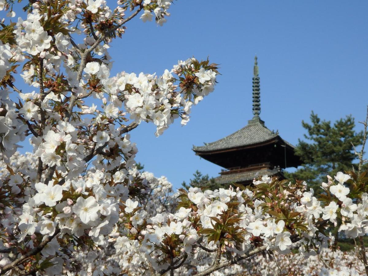 Stay Sakura Kyoto Tsubaki Quioto Exterior foto