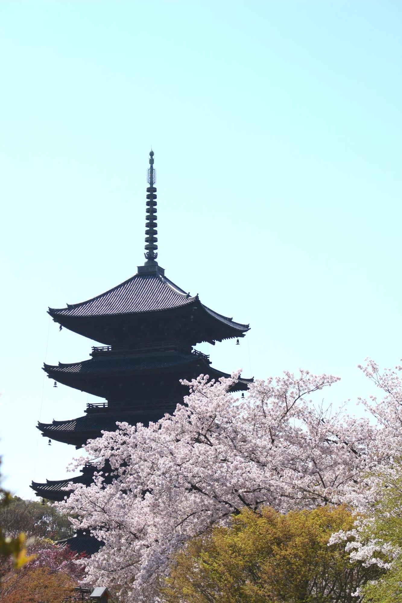 Stay Sakura Kyoto Tsubaki Quioto Exterior foto